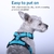 Imagem do Cão de estimação arnês verão malha náilon respirável cão colete macio ajustável arnês para cães filhote de cachorro coleira gato cão de estimação cinta de peito