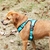 Cão de estimação arnês verão malha náilon respirável cão colete macio ajustável arnês para cães filhote de cachorro coleira gato cão de estimação cinta de peito