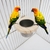 Pássaro alimentando copos com braçadeira papagaio gaiola pendurado tigela de aço inoxidável coop prato - PET AND YOU