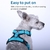 Cão de estimação arnês verão malha náilon respirável cão colete macio ajustável arnês para cães filhote de cachorro coleira gato cão de estimação cinta de peito - comprar online