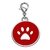 Etiqueta da identificação do cão do gato do filhote de cachorro do animal de estimação da etiqueta da identificação do cão - loja online