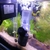 Acessórios de filtro para mini aquários. - comprar online