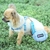 Cão macio arnês e trela conjunto ajustável náilon chihuahua coleira para cães médios pequenos animais de estimação produtos andando - loja online