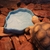 Imagem do Bandeja de alimentação para répteis (tartarugas,lagarto)