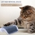 Gato auto groomer escova pet grooming suprimentos remoção do cabelo pente gatinho parede canto massagem pente com comb de cócegas gato scratcher