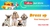 Roupa colorida impermeável para cães de pequeno e médio porte na internet