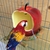 Aves alimentador tigela papagaio água comida tigela recipiente pequeno animal beber copo de alimentação para aves gaiola acessórios - loja online
