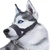 Anti latido cão focinho para pequenos cães grandes ajustável boca do animal de estimação focinhos para cães correias de náilon acessórios do cão na internet