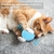 Bolas de brinquedo interativas com som para gatos