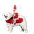 Roupas grandes para cachorros e gatos: roupas de halloween e decoração de natal na internet