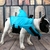 Imagem do Colete salva-vidas(roupa de banho) para animais de estimação