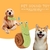 Brinquedo de caracol macio para cachorros - loja online
