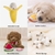 10/20/50 pacote cão brinquedos guinchos jogos de pelúcia bonito brinquedos de pelúcia para pequeno médio cão velo brinquedos por atacado - loja online