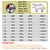 Roupa colorida impermeável para cães de pequeno e médio porte - comprar online