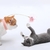 Brinquedo automático interativo para gatinhos - loja online