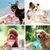 Cão de estimação portátil garrafa de água para pequenos grandes cães viagem filhote de cachorro gato beber tigela ao ar livre água do animal de estimação correio gratuito - comprar online