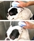Cão de estimação gato escova de banho 2-em-1 pet spa massagem pente macio silicone pet chuveiro cabelo grooming cmob cão ferramenta de limpeza suprimentos para animais de estimação - loja online