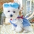 Vestido de cão de verão para o gato saia princesa teddy grade pettiskirt filhote cachorro roupas traje primavera roupas para animais estimação XS-XL