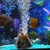 Decorações de aquário em forma vulcânica, decoração de resina para aquários, pedra de bolha de ar, decoração de tanque de peixes - loja online