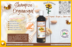 Shampoo Extracto de Organogal 500 ML