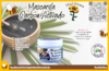 Mascarilla de Carbón Activado PET 90g