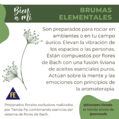 BRUMA ELEMENTAL - RESCUE REMEDY - Bien a Mí