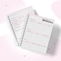 Planner Financeiro Para Empresas ( Feminino) na internet