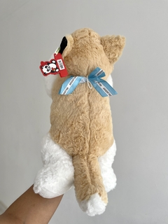 2005E PELUCHE SIBERIANO C/CINTA ARGENTINA 2 COLORES 50CM (7798036086510) en internet