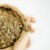 Yerba mate Canchada x 10kg en internet