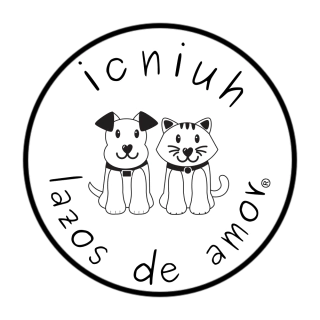 icniuh | Productos para mascotas