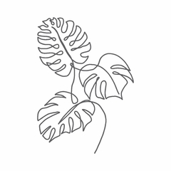 MONSTERA DELICIOSA | BO006 - comprar online