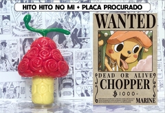 Hito Hito No Mi + Placa de Procurado