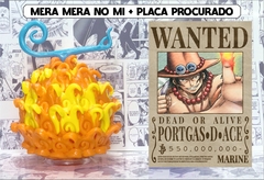 Mera Mera No Mi + Placa de Procurado