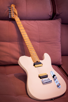 Guitarra SGT TC Classic 2HB Vintage White - comprar online
