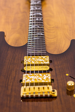 Guitarra SGT M1 Floral - SGT Guitars