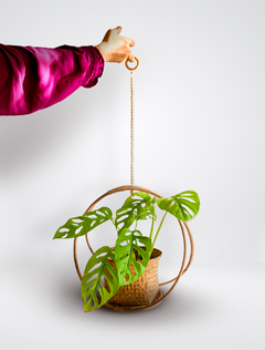 Suporte para plantas pendentes - Colmeia