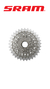 Piñon SRAM 12v Ruta XG-1290 10-33d XDR Silver (RED eTap AXS)