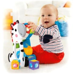 Zebra Com Blocos Surpresa Educativo Fisher-Price Cgn63 na internet