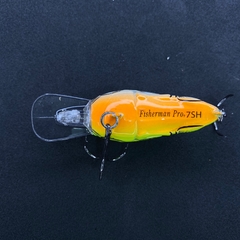 Crankbait SH Doble Cara Fire Tiger/ Raton en internet