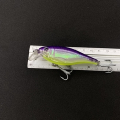 Crankbait SILVER Old School 2 - FishermanProLures