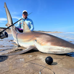 Pesca de Tiburón en Faro Querandi - tienda online