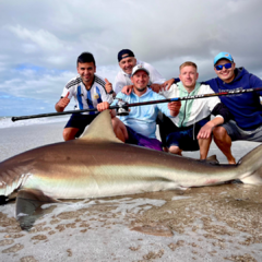 Imagen de Pesca de Tiburón en Faro Querandi