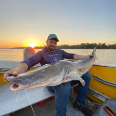 Pesca en Reconquista en internet