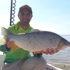 Pesca en Villa Constitución en internet