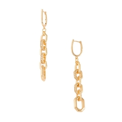 Chain earrings on internet