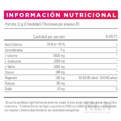 Reload Bcaa 2.1.1 Aminoacidos X220g - ENA SPORT en internet