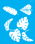 OPA STENCIL 2589 - 20x25 - Plantas Tropicais