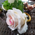 Porta guardanapo Rosa (flor permanente) em argola de madeira - comprar online