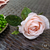 Porta guardanapo Rosa (flor permanente) em argola de madeira na internet