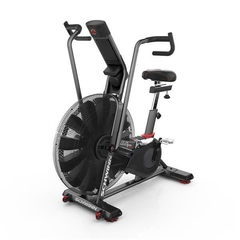 Airbike Schwinn Airdyne AD8 - GY013